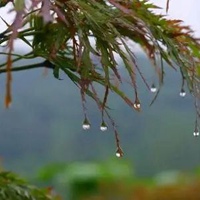 秋风秋雨今又至