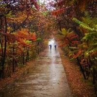 秋雨图片带字唯美图片 (7)