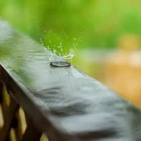 秋雨图片带字唯美图片 (8)