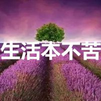 生活本不苦图片带字 (15)