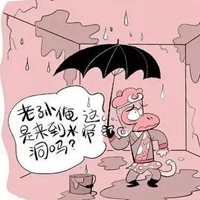 屋漏偏逢连夜雨下一句