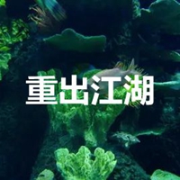 图片上有重出江湖字的 (9)