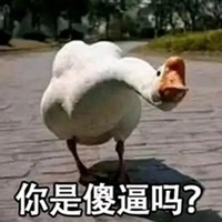 傻妞源码 掌柜:怡佳西贝