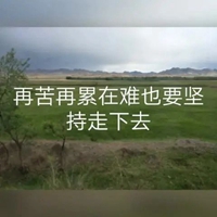 再难也要坚持图片带字 (12)