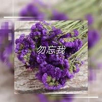 勿忘我写成一个字图片 (21)