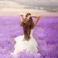 女生头像紫色头发背影 女生头像背影紫色系列 (1)