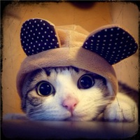 微信头像图片2021最新款个性 男女个性头像 (42)