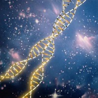 适合生物课代表的头像 (11)