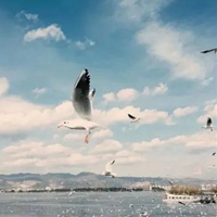 你需要一 有格调的头像