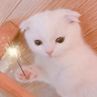 奶猫头像 超萌小奶猫头像 (5)