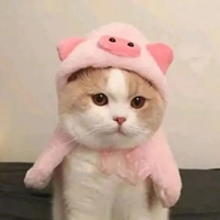 奶猫头像 超萌小奶猫头像 (9)