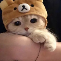 奶猫头像 超萌小奶猫头像 (14)