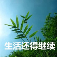 生活不易生活不易 继续努力平面字体/字形bbai